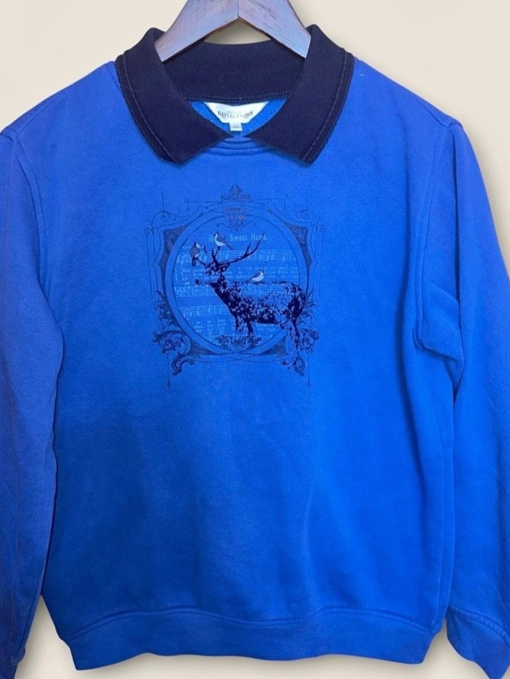 Cottagecore Northern Reflections Graphic Collar Sweatshirt